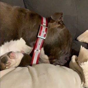 Meet your Posher, Josh